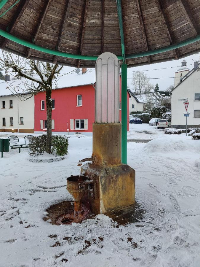 Ferienhaus Am Sauerbrunnen Даун Экстерьер фото